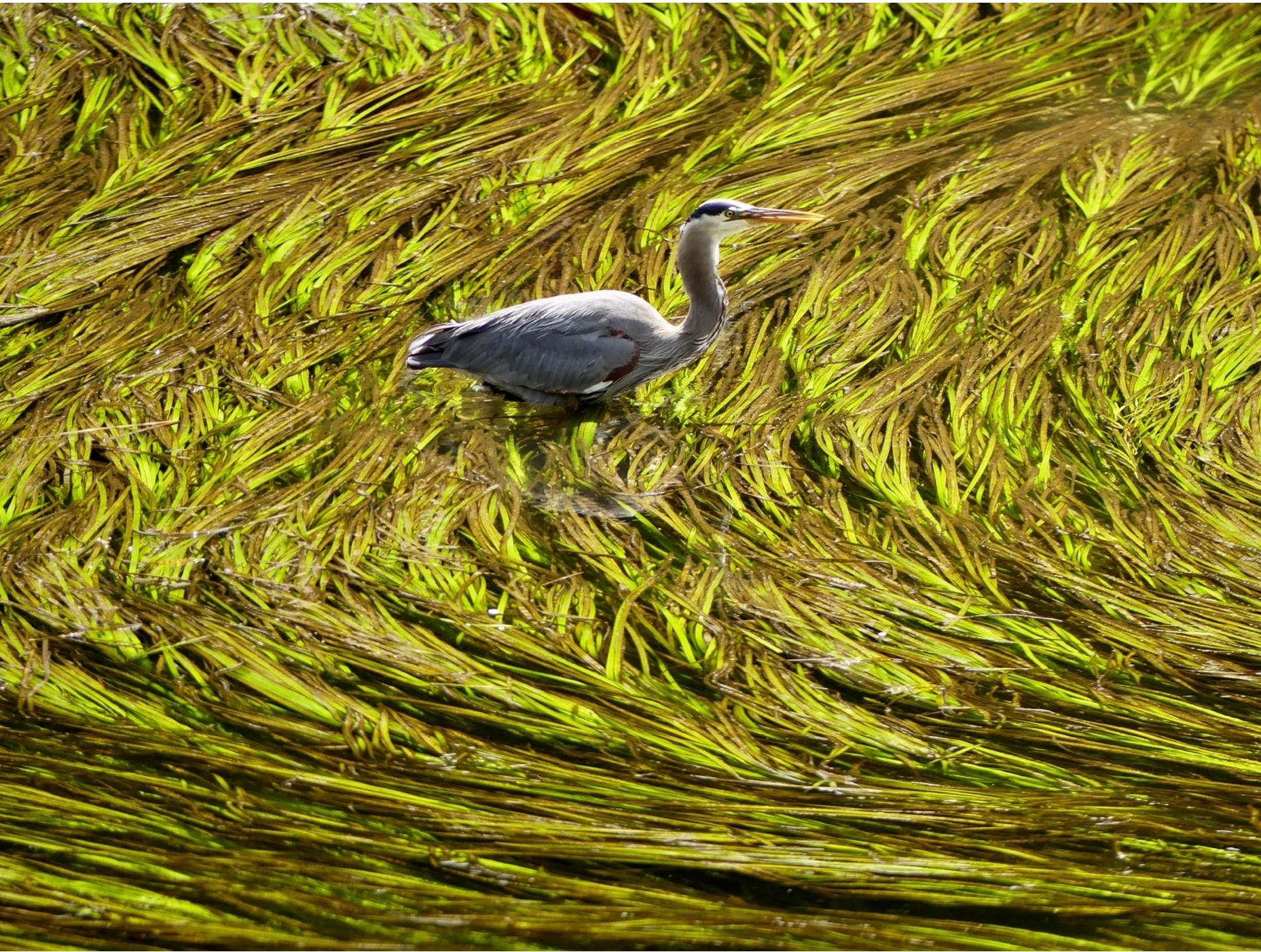 Speaking Event with Nikki Wright